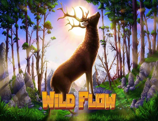 Trò chơi Wild Flow